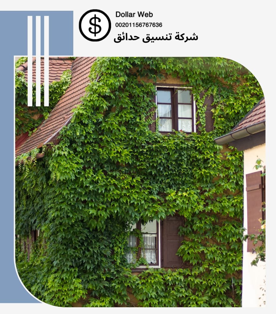 شركات تنسيق حدائق صباح
