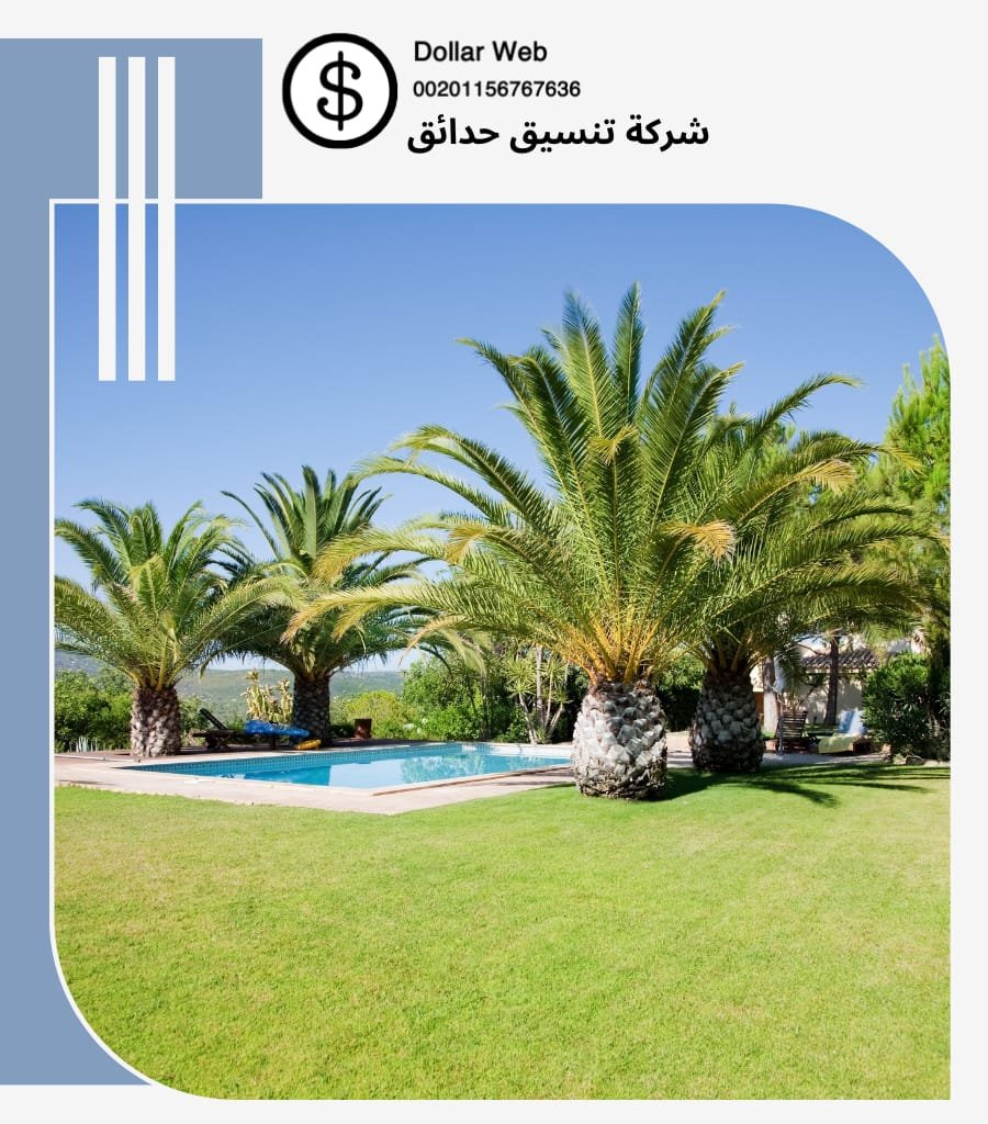 تنسيق حدائق الشاليهات
