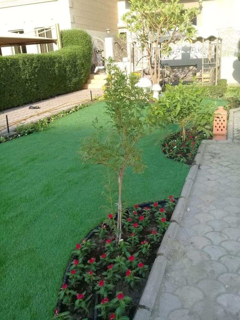 تنسيق حدائق الرميثة الكويت