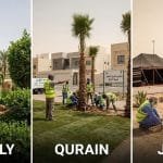 افضل منسق حدائق في الكويت حولي والقرين والجهراء